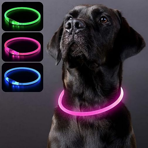 Hundehalsband Leuchtend USB Aufladbar, Wasserdicht