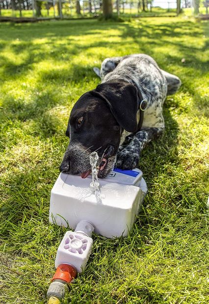 Wasserfontäne für Tiere und Garten