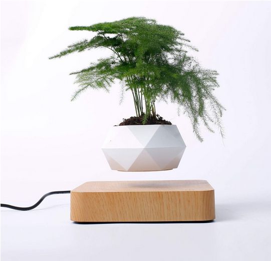 Schwebender Luft-Bonsai-Topf